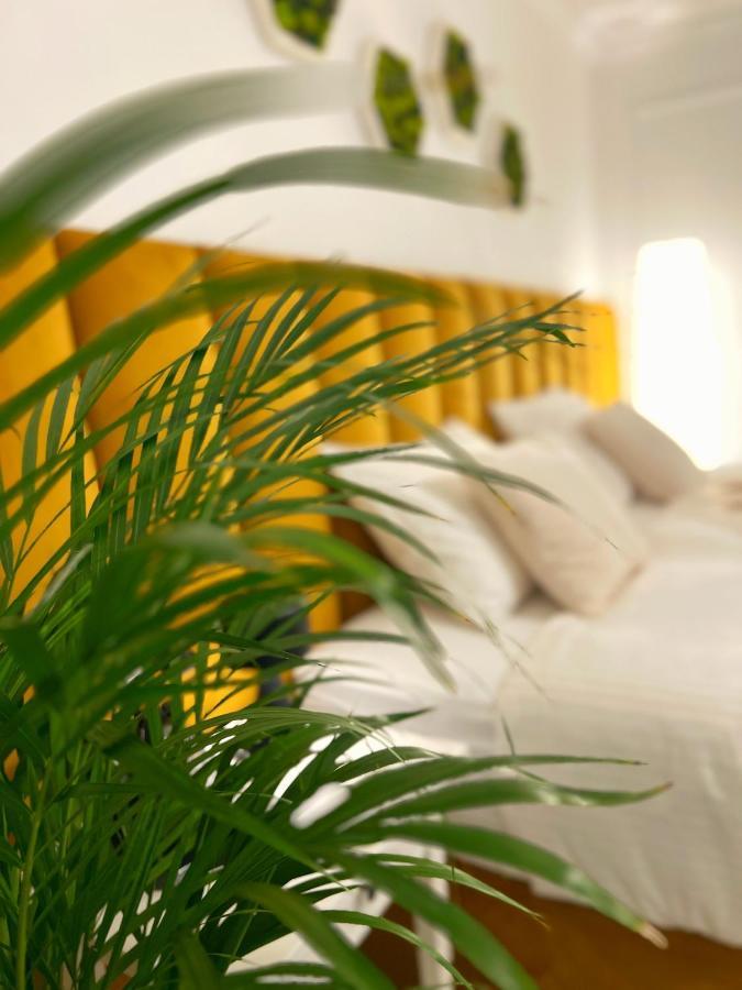 Studio 118 - A Luxury Place,10Min Walk To City Center Timisoara Luaran gambar